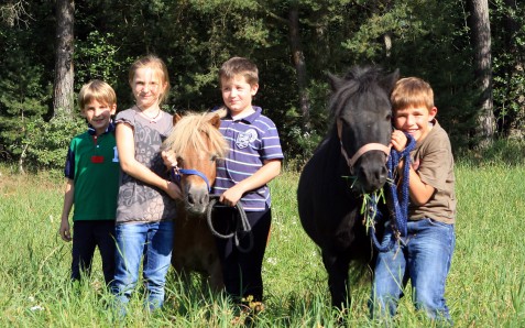 Kinder Reiten in Manching bei Ingolstadt